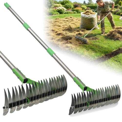 Lawn thatch rake 13 - |, 13"
