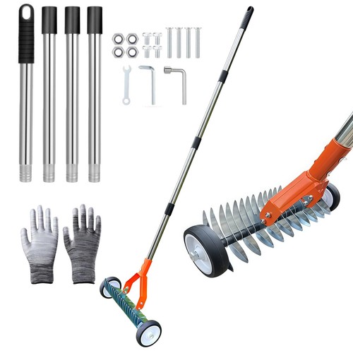 Thatch rake with - with, wheel
