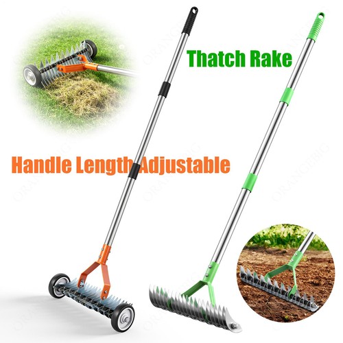 Lawn thatch and moss - and, removal